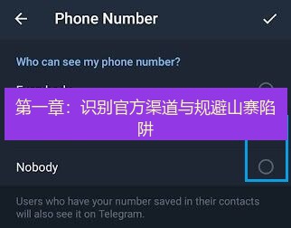 Telegram下载 第一章：识别官方渠道与规避山寨陷阱